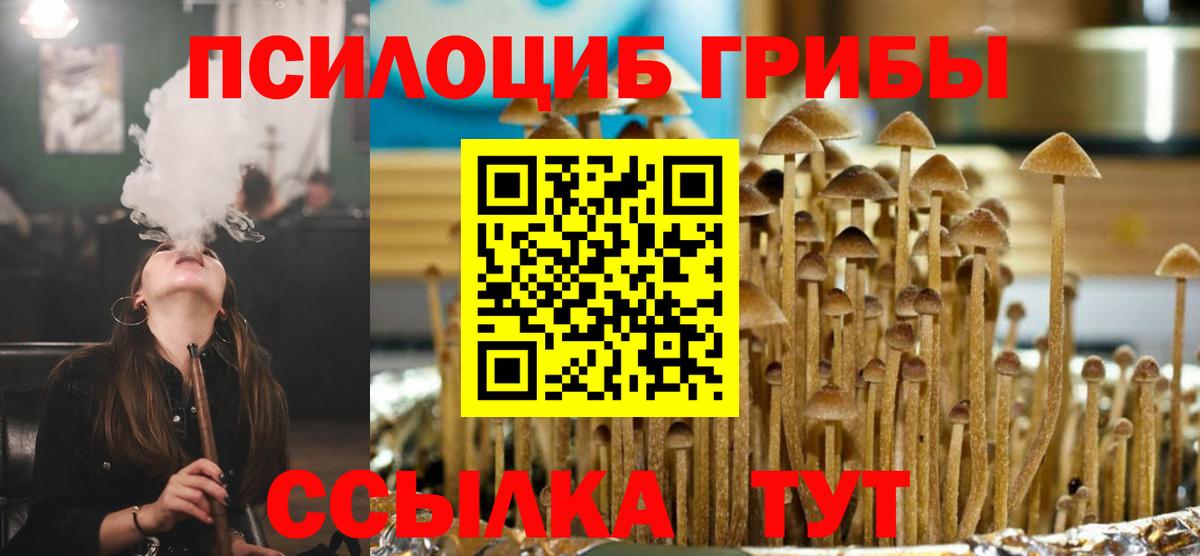 Галлюциногенные грибы Psilocybe  Псилоцибиновые грибы GOLDEN TEACHER  Елец  Вход с VPN 