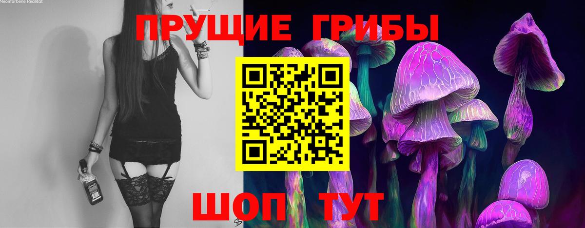 Галлюциногенные грибы прущие грибы Елец